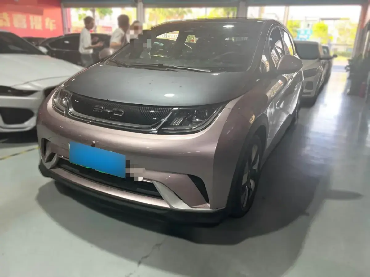 2021 BYD Dolphin BEV 44.9KWH