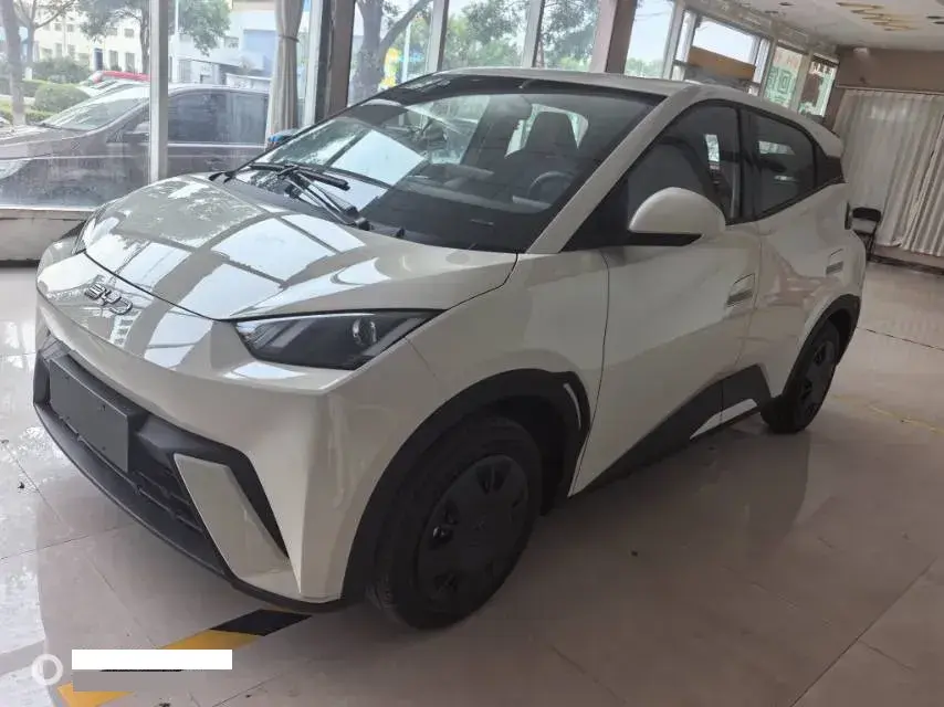 2025 BYD Seagull BEV 30.08KWH
