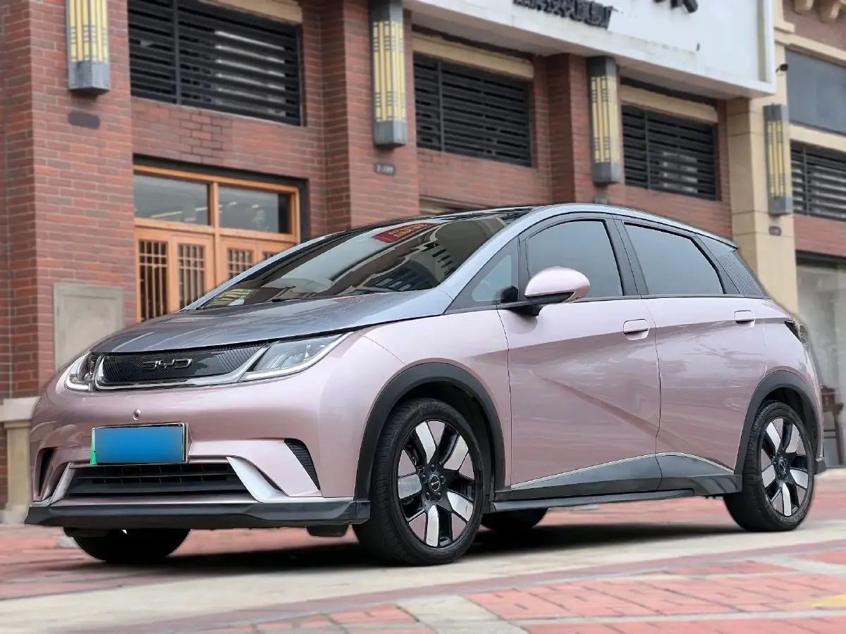 2021 BYD Dolphin BEV 44.9KWH