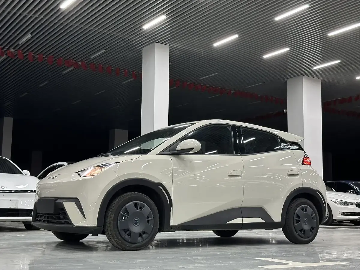 2025 BYD Seagull BEV 30.08KWH