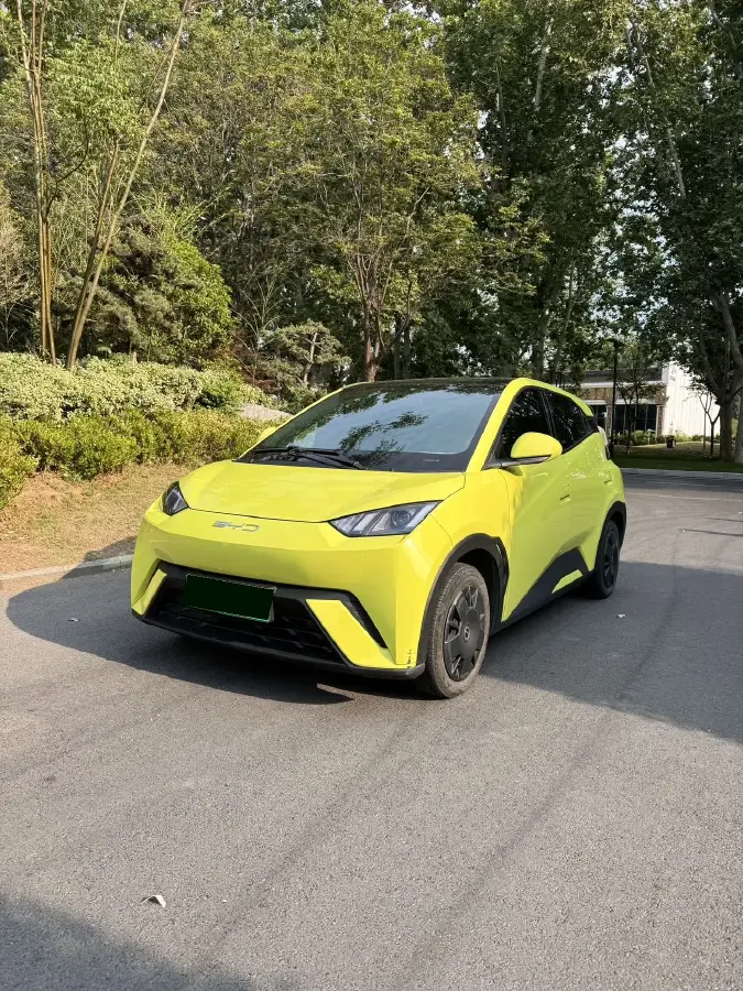 2023 BYD Seagull BEV 30.08KWH