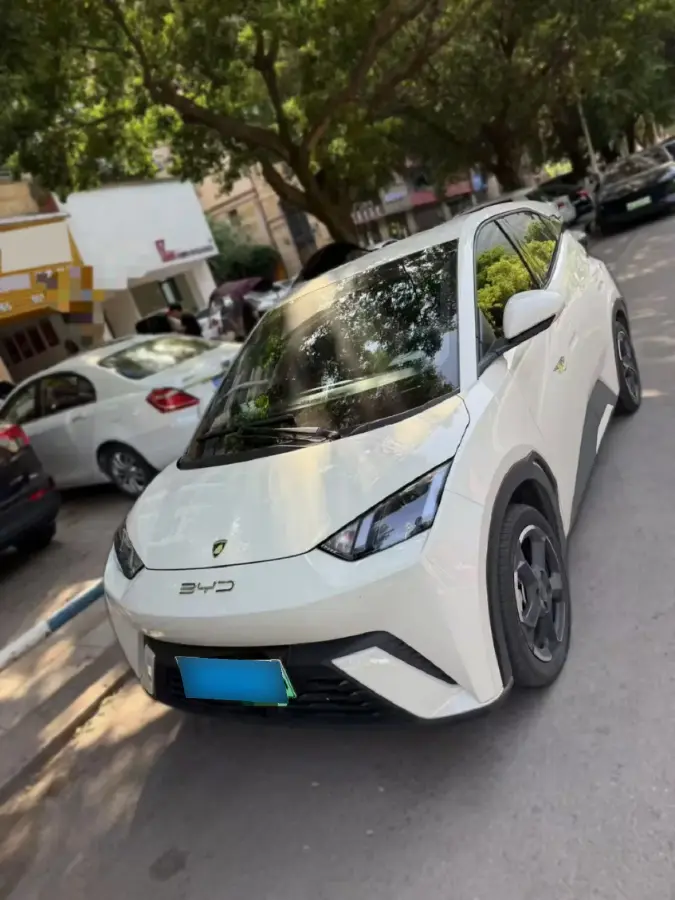 2023 BYD Seagull BEV 30.08KWH