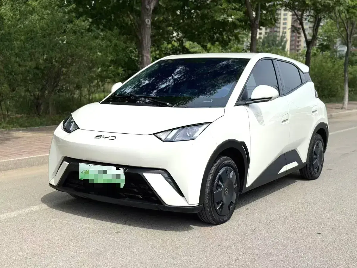 2024 BYD Seagull BEV 30.08KWH