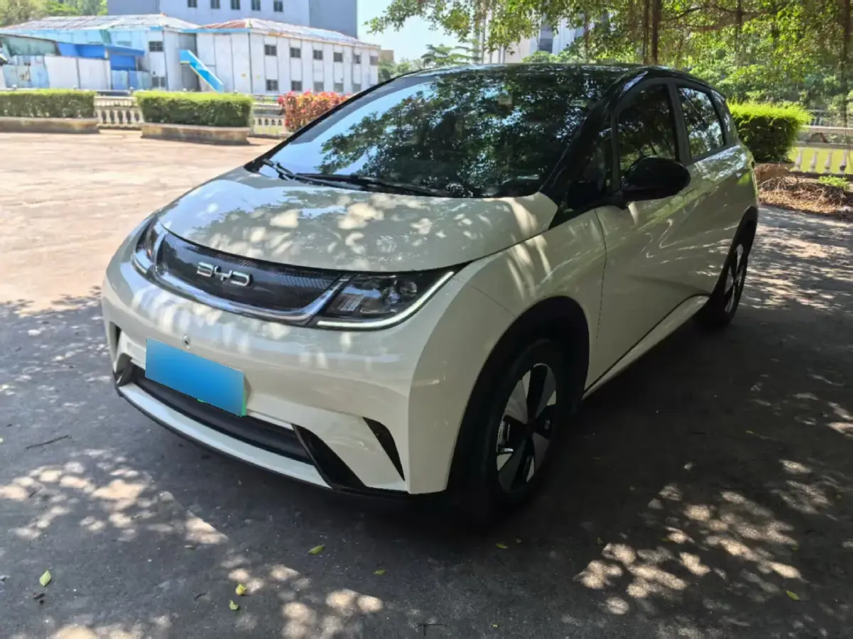 2023 BYD Dolphin BEV 44.928KWH