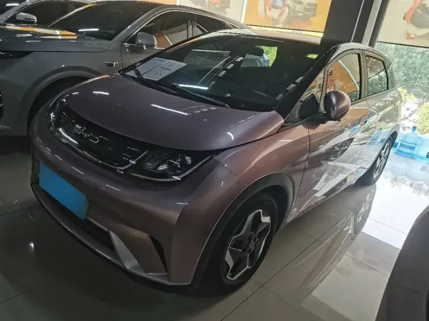 2021 BYD Dolphin BEV 44.9KWH