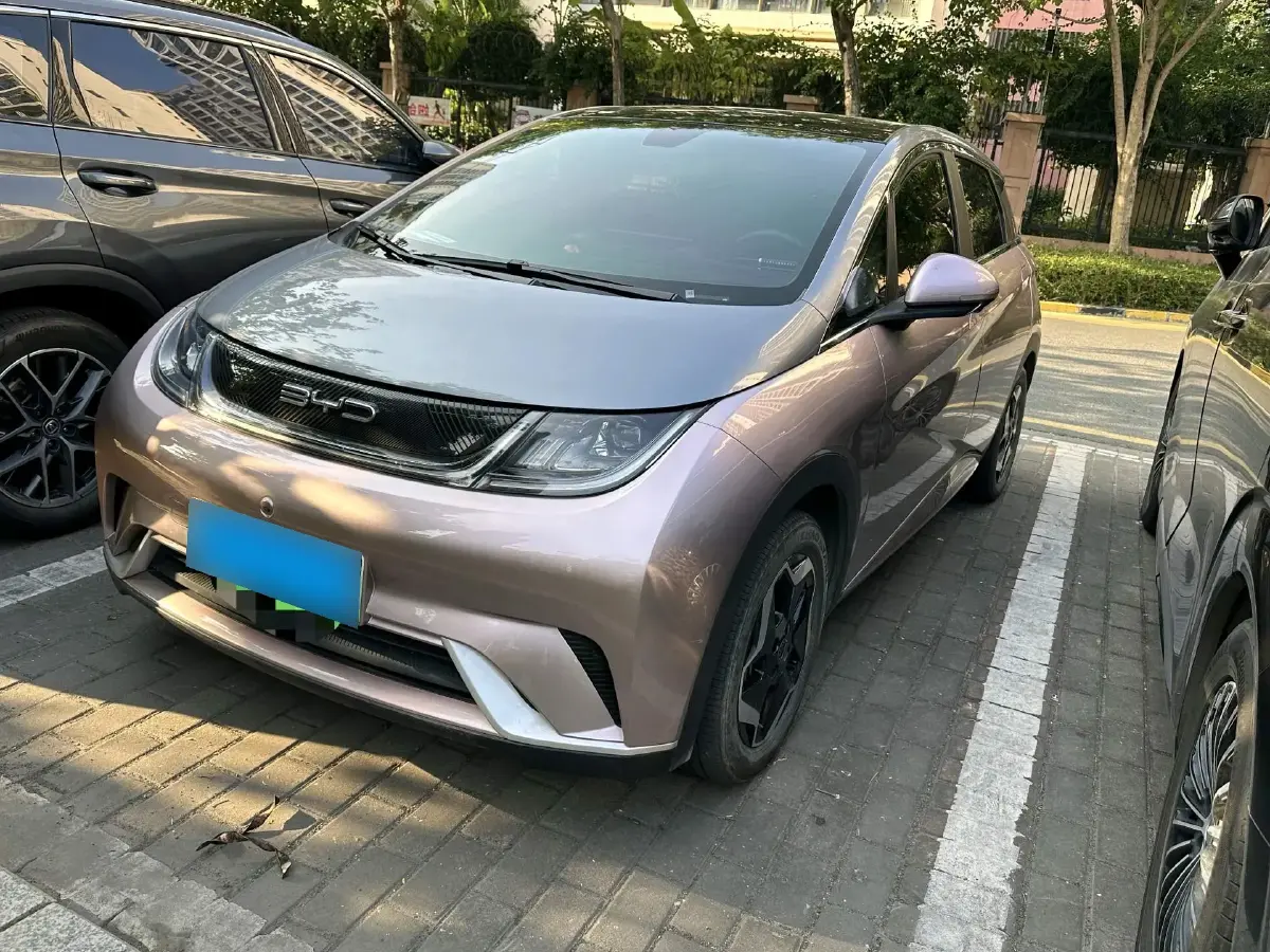 2021 BYD Dolphin BEV 44.9KWH