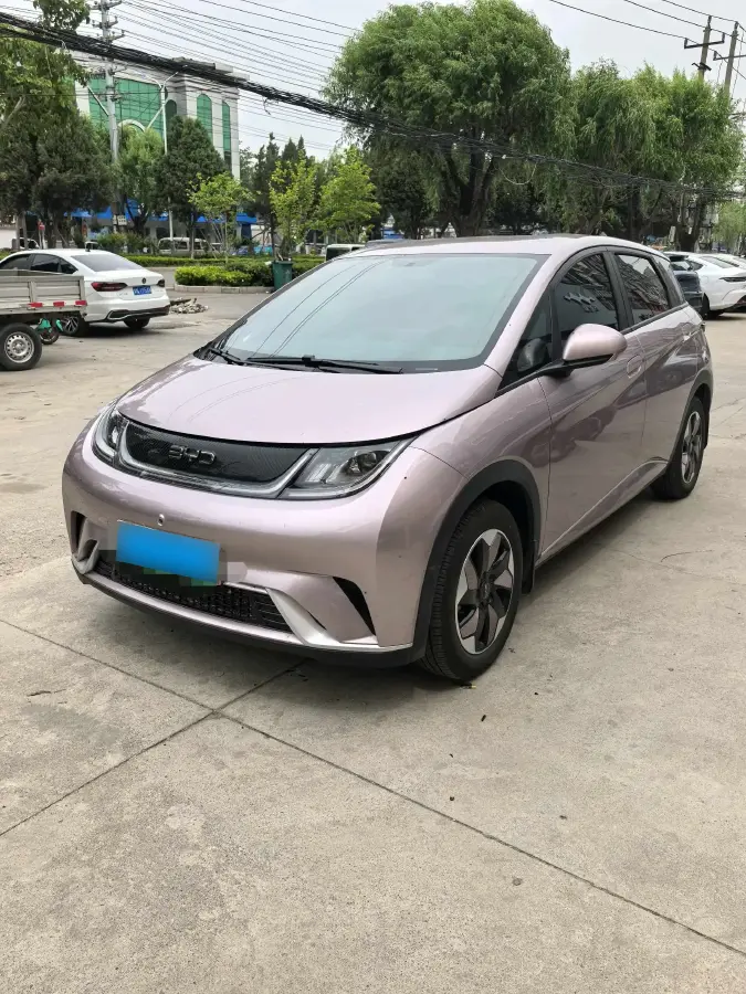 2024 BYD Dolphin BEV 44.928KWH