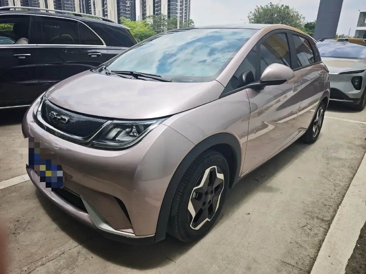 2021 BYD Dolphin BEV 44.9KWH