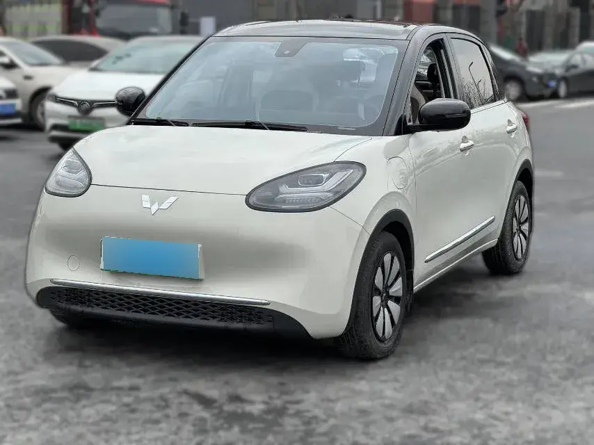 2023 WuLing BinGuo BEV 31.9KWH