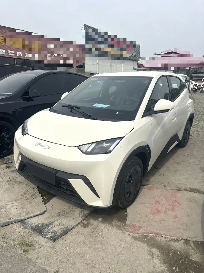 2025 BYD Seagull BEV 30.08KWH