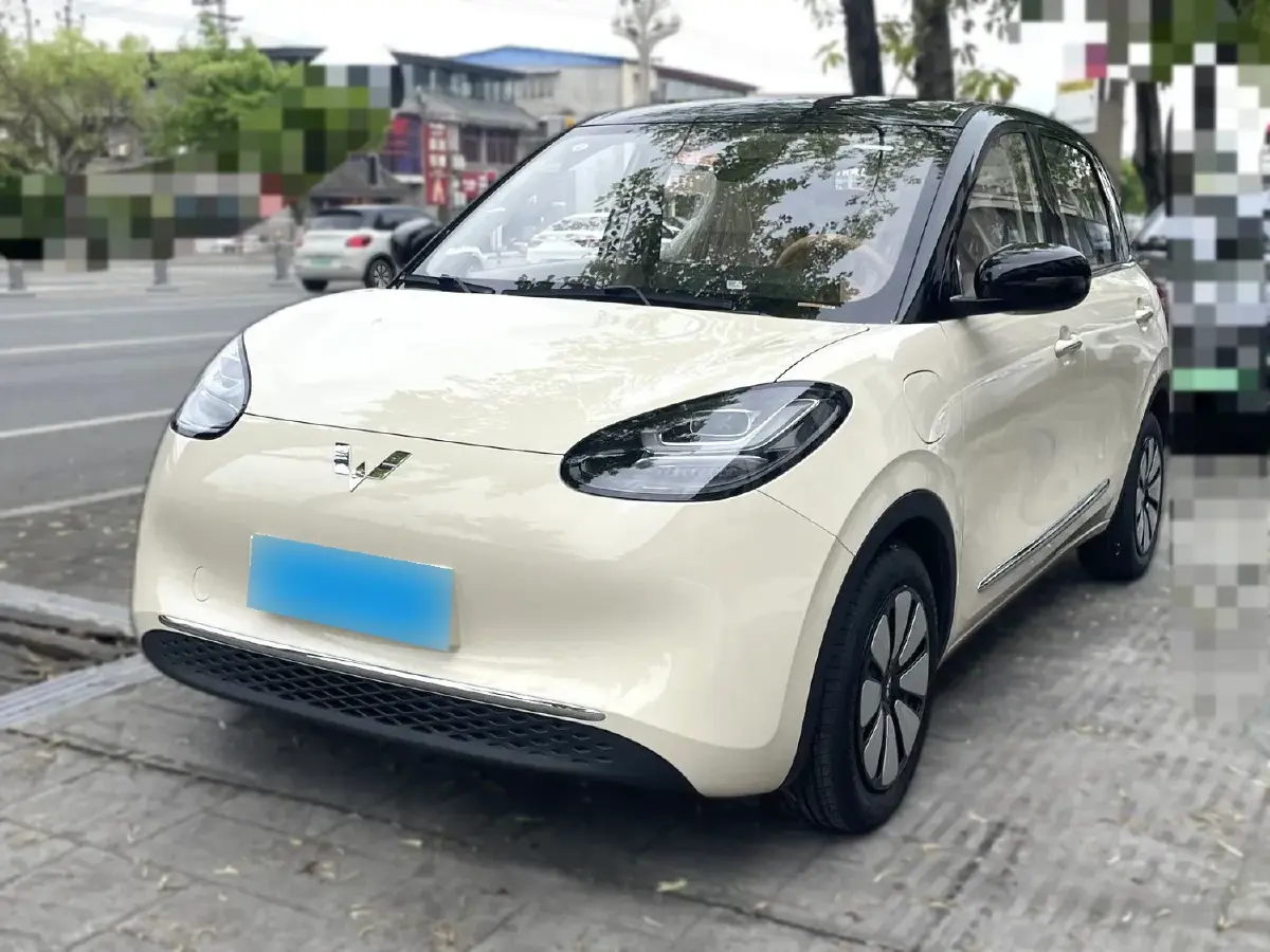 2025 WuLing BinGuo BEV