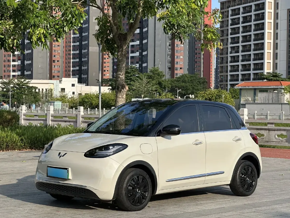 2023 WuLing BinGuo BEV 37.9KWH
