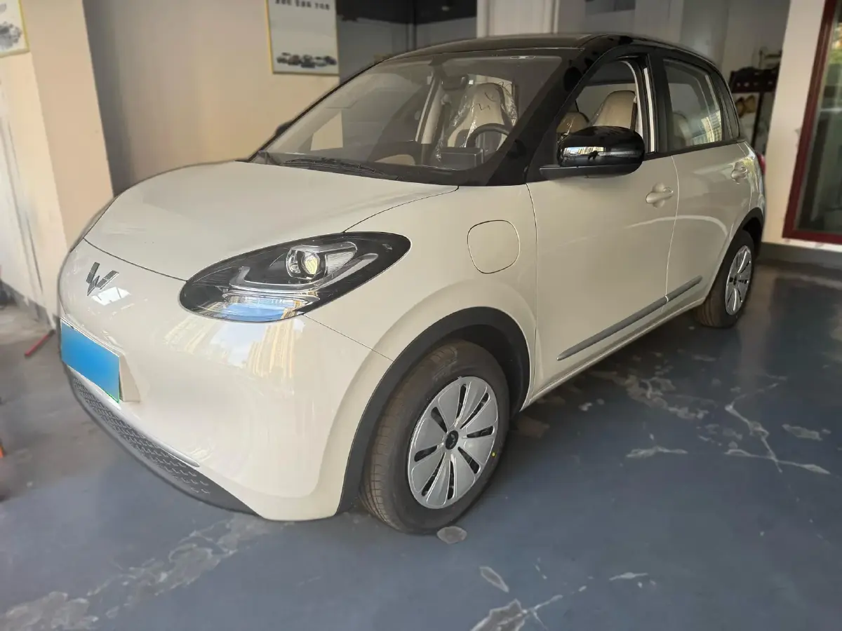 2025 WuLing BinGuo BEV