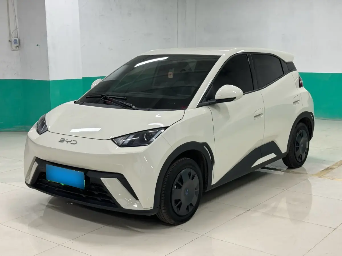 2024 BYD Seagull BEV 30.08KWH