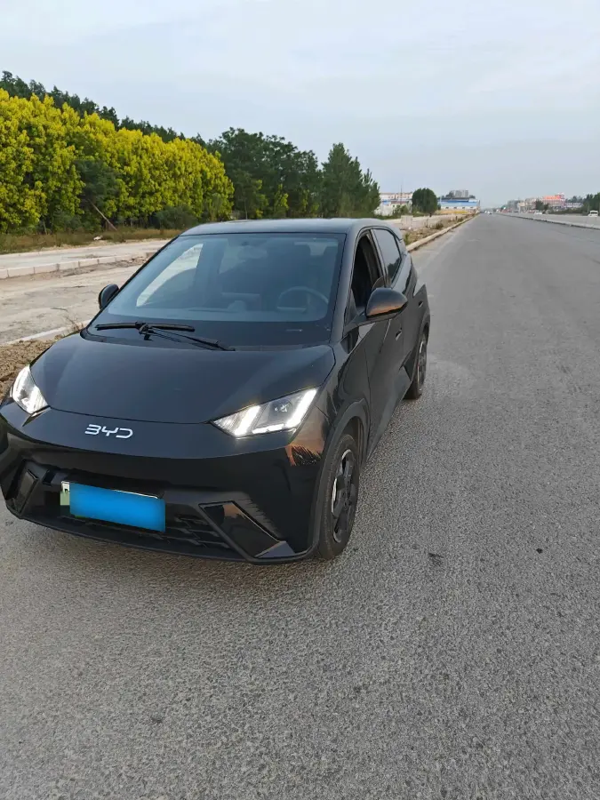 2024 BYD Seagull BEV 38.88KWH