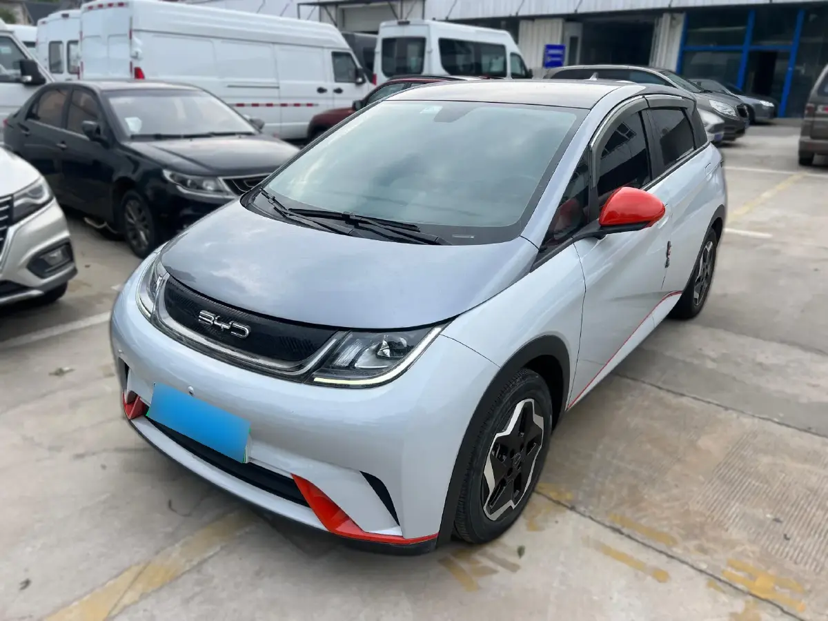 2021 BYD Dolphin BEV 44.9KWH