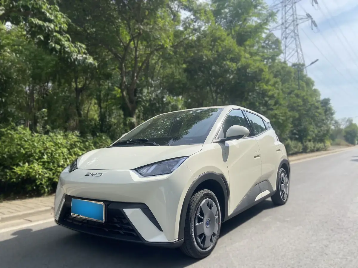 2025 BYD Seagull BEV 30.08KWH