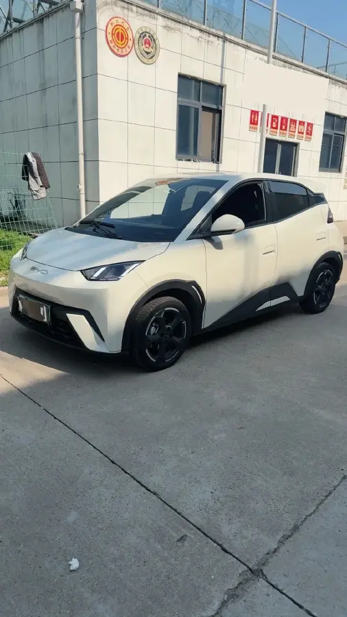 2023 BYD Seagull BEV 30.08KWH