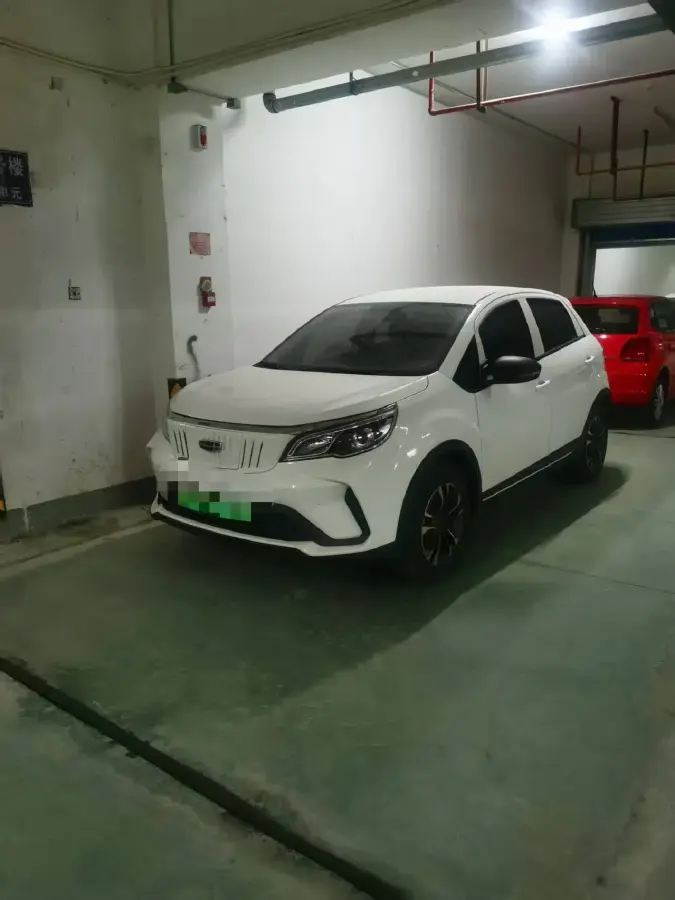 2021 Geometry EX3 BEV 37.23KWH