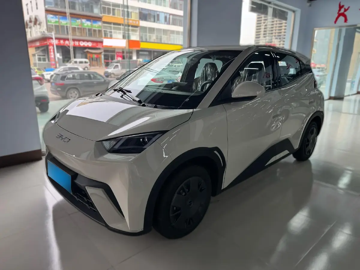 2025 BYD Seagull BEV 30.08KWH