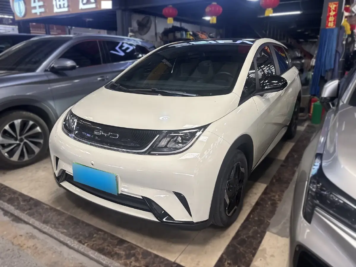 2021 BYD Dolphin BEV 44.9KWH