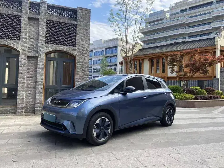 2025 BYD Dolphin BEV 44.928KWH