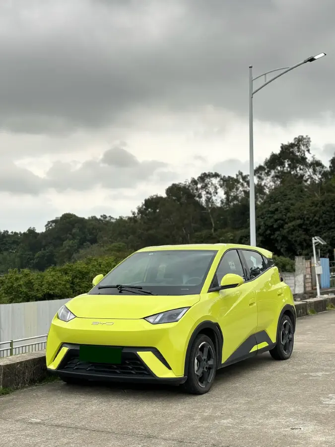 2023 BYD Seagull BEV 38.88KWH