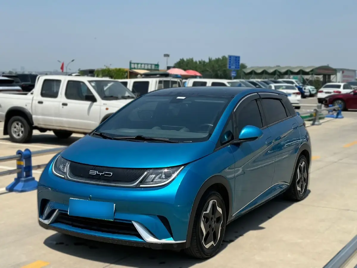 2021 BYD Dolphin BEV 44.9KWH