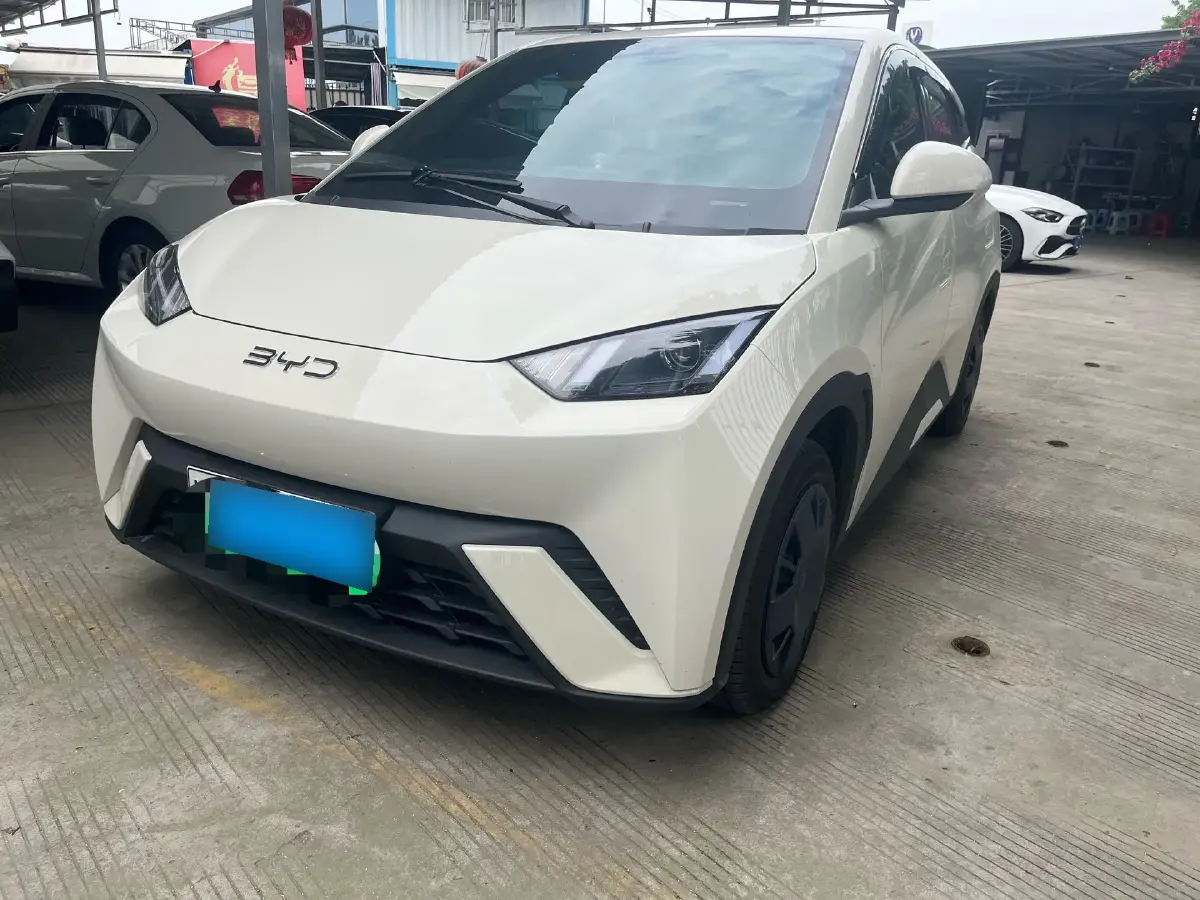 2025 BYD Seagull BEV 30.08KWH