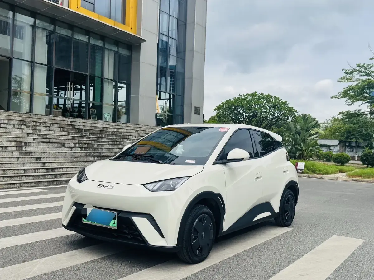 2024 BYD Seagull BEV 30.08KWH