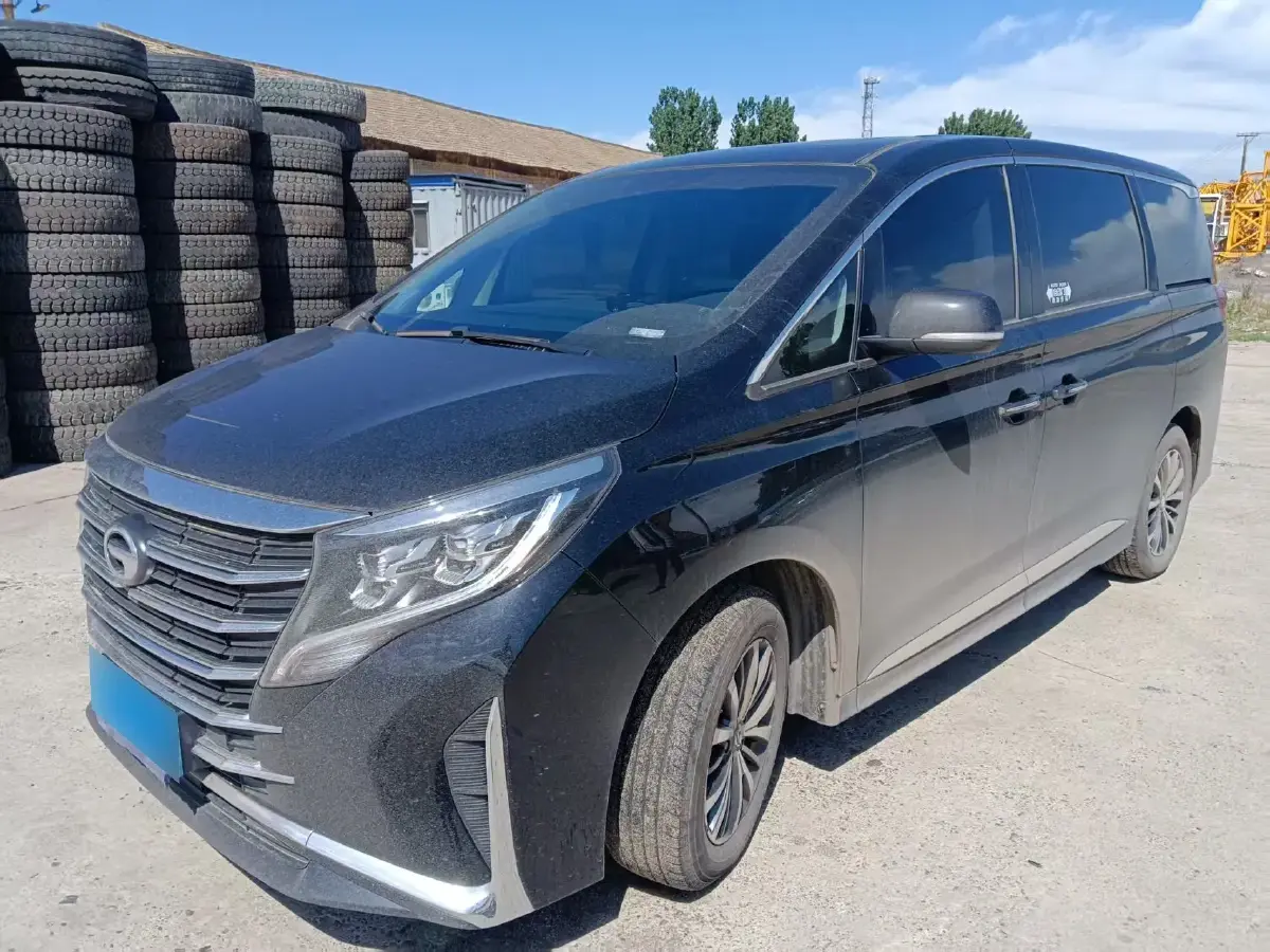 2024 GAC Trumpchi M8 2.0T 252HP L4 8AT