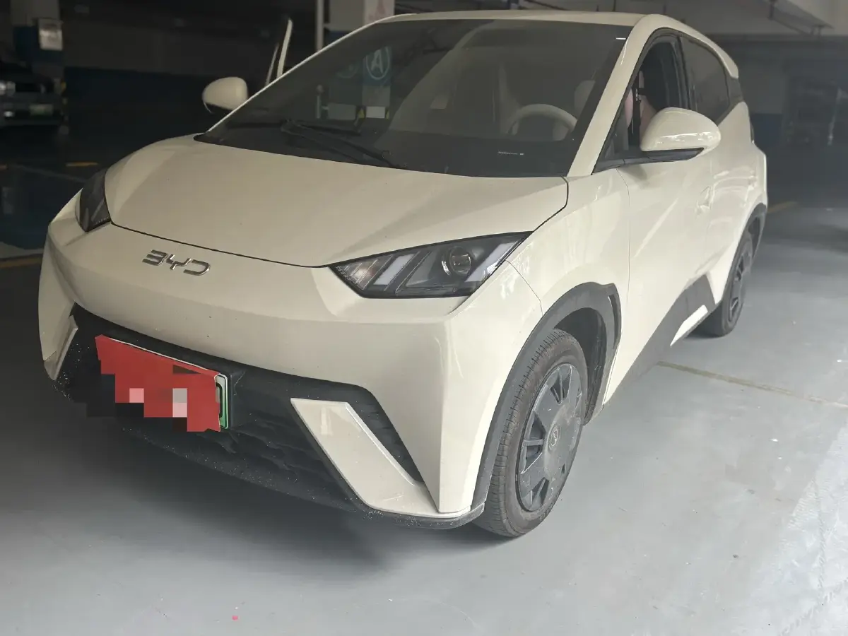 2024 BYD Seagull BEV 30.08KWH