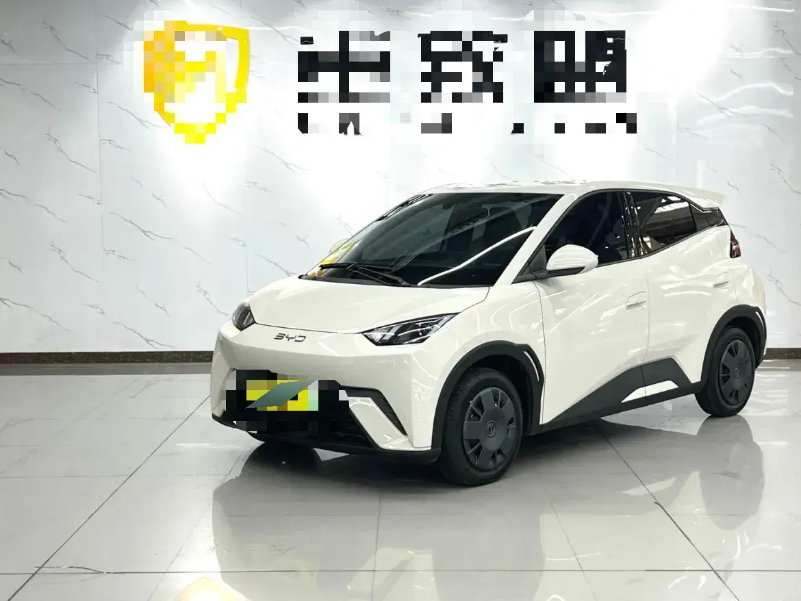2024 BYD Seagull BEV 30.08KWH