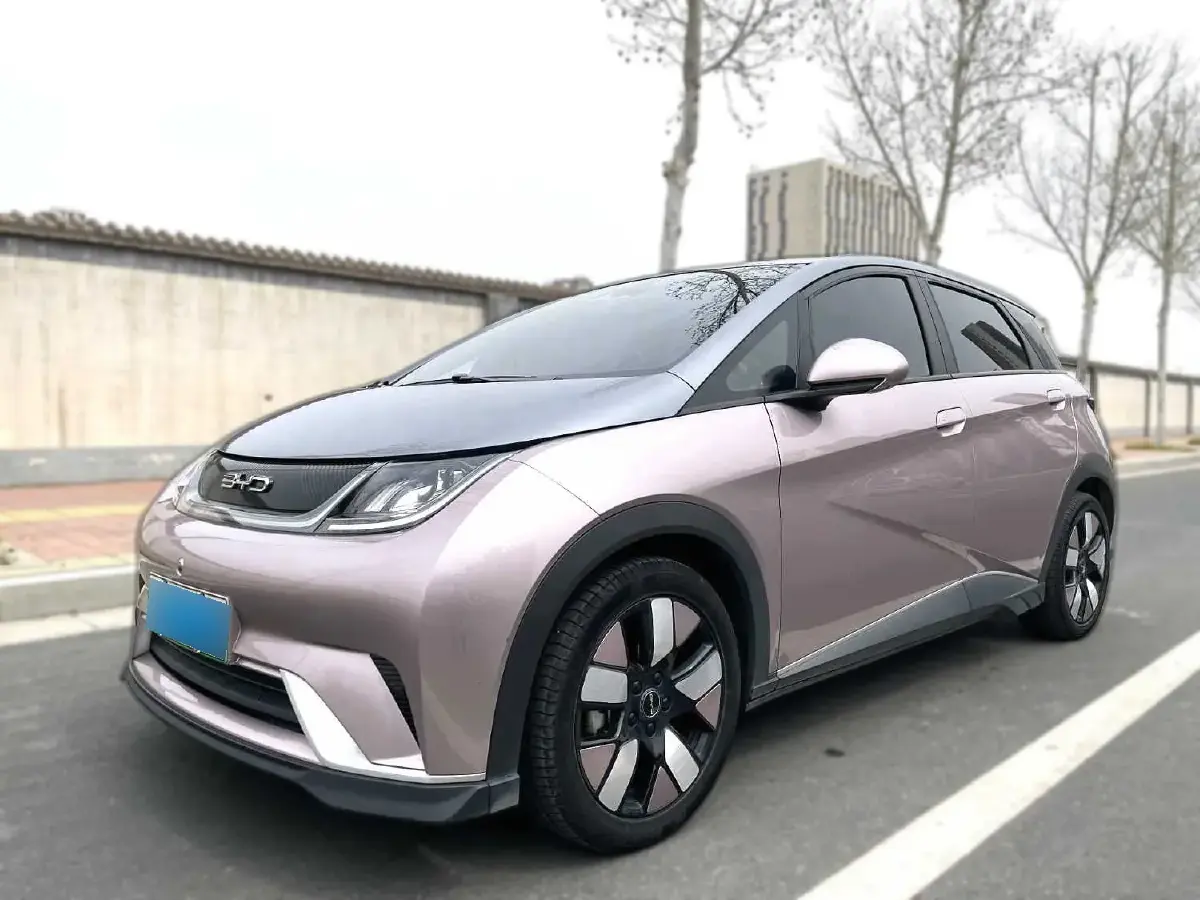 2023 BYD Dolphin BEV 44.928KWH