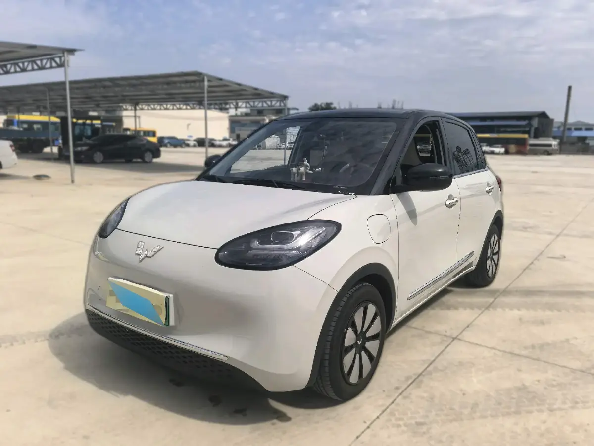 2023 WuLing BinGuo BEV 31.9KWH