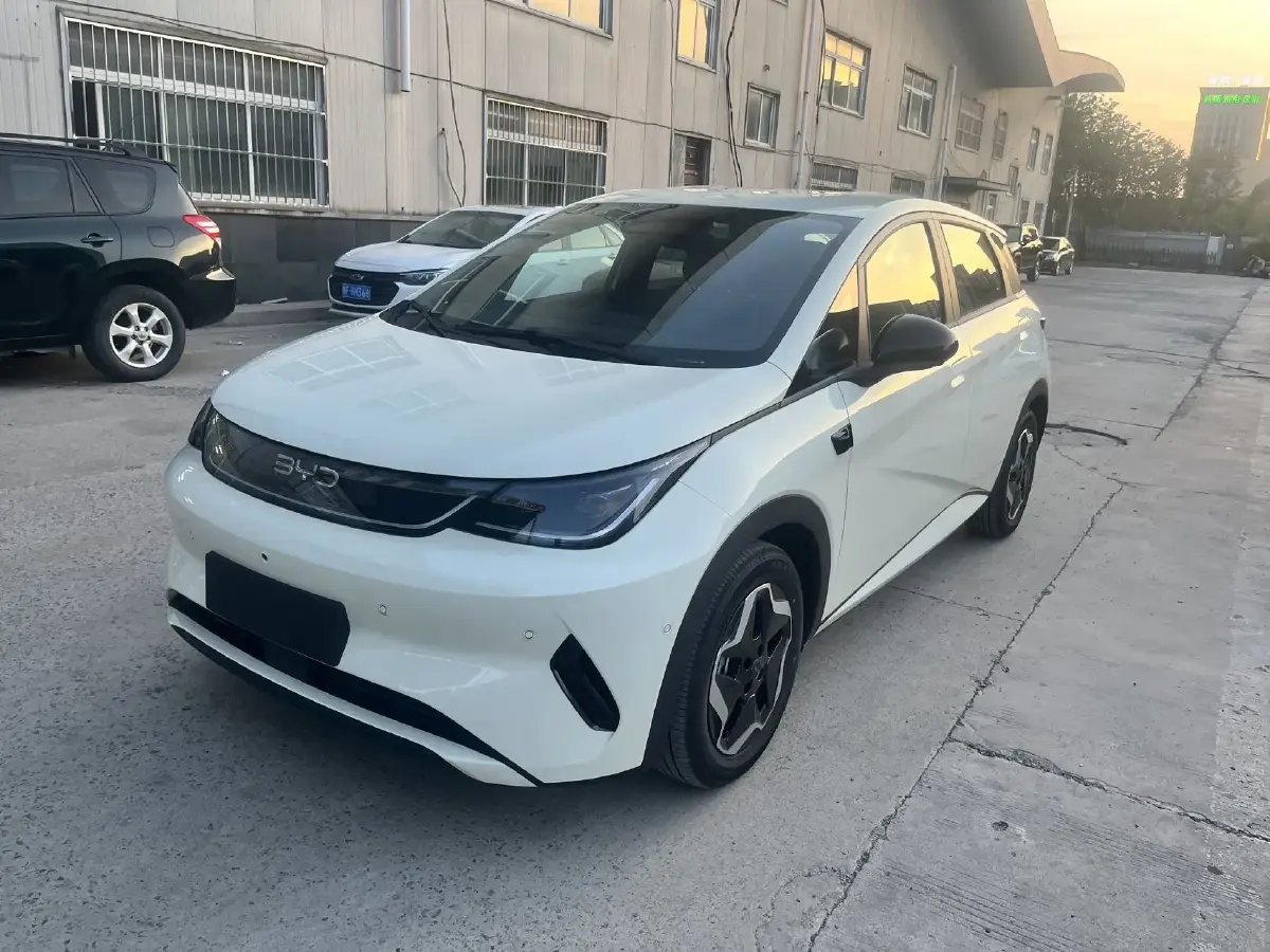 2025 BYD Dolphin BEV 45.12KWH