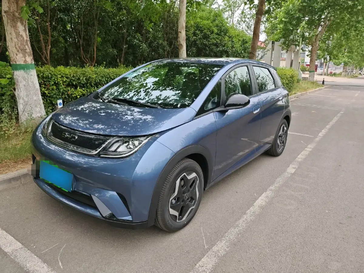 2025 BYD Dolphin BEV 44.928KWH
