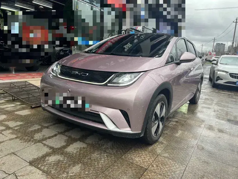 2024 BYD Dolphin BEV 44.928KWH