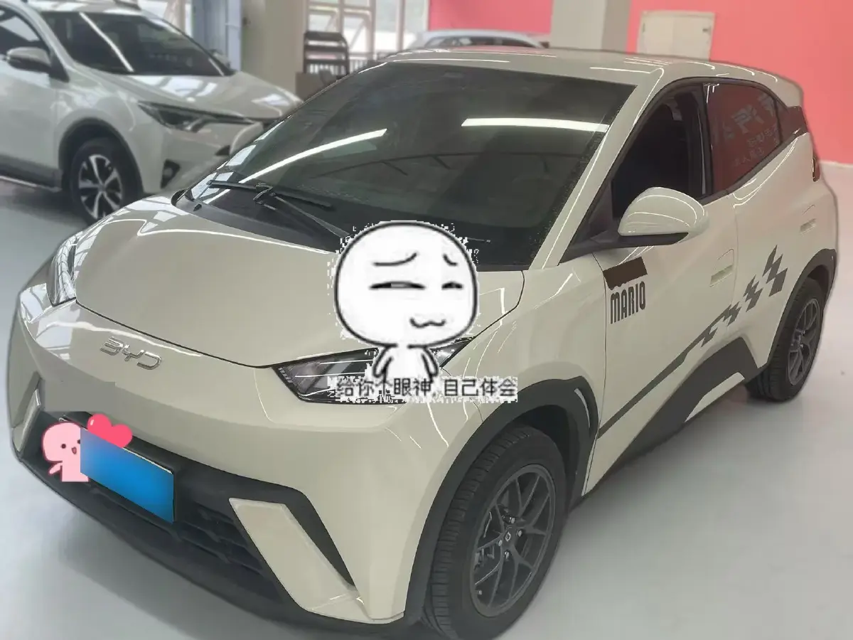 2024 BYD Seagull BEV 30.08KWH