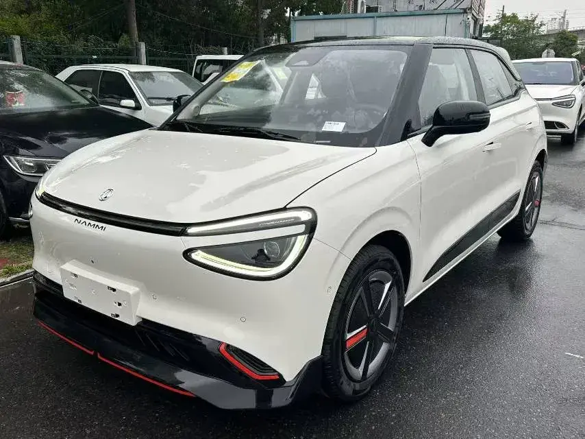 2024 DongFeng Nammi 01 BEV 42.3KWH