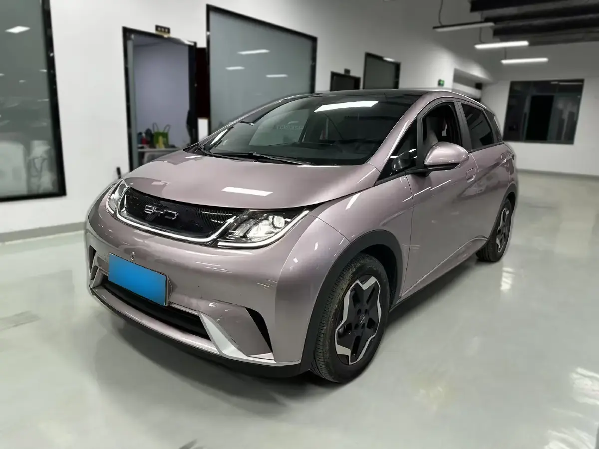 2021 BYD Dolphin BEV 44.9KWH