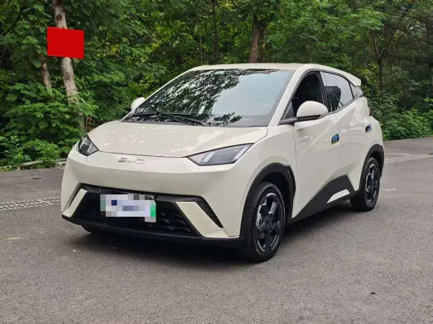 2024 BYD Seagull BEV 38.88KWH