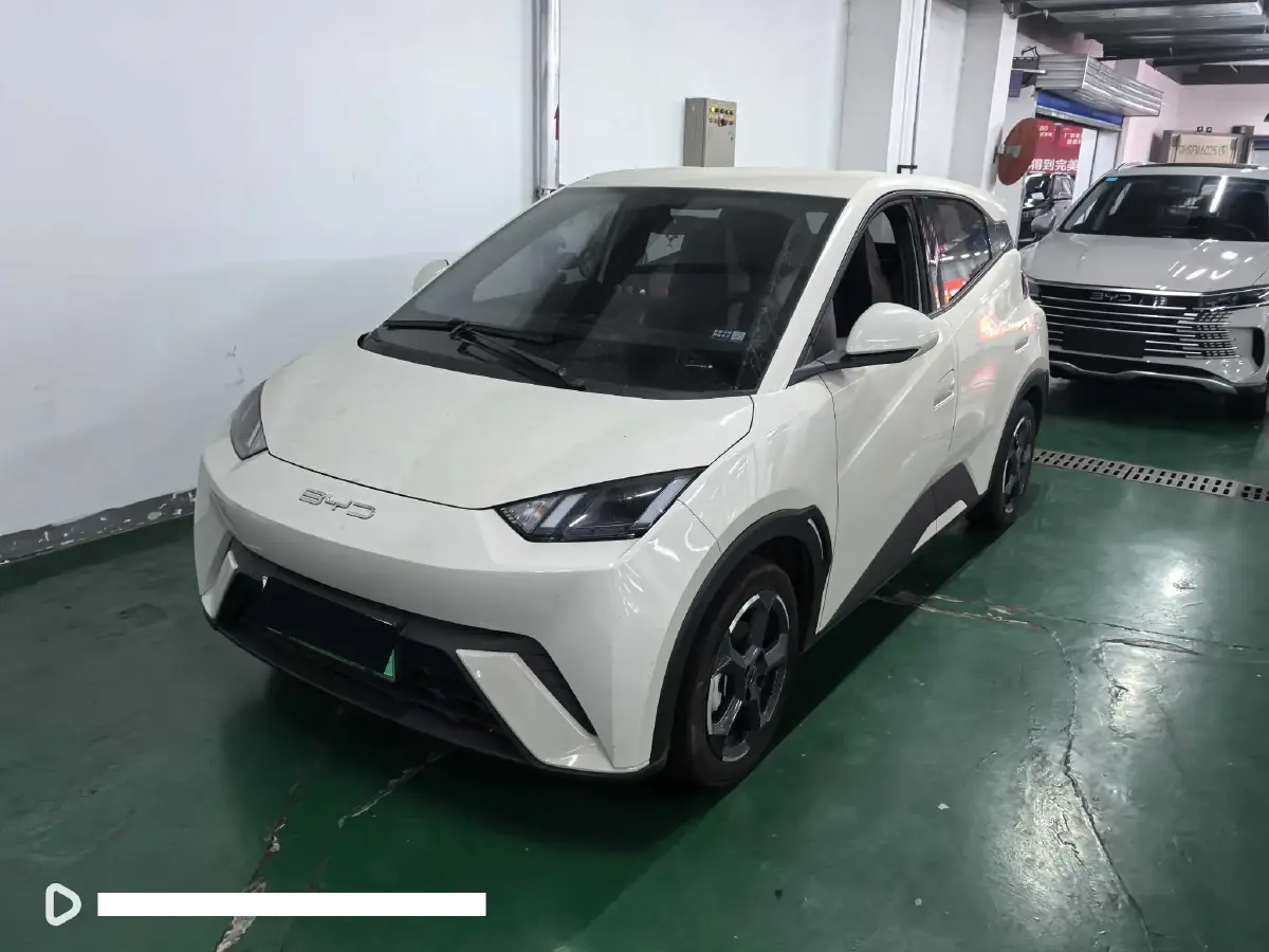 2023 BYD Seagull BEV 30.08KWH