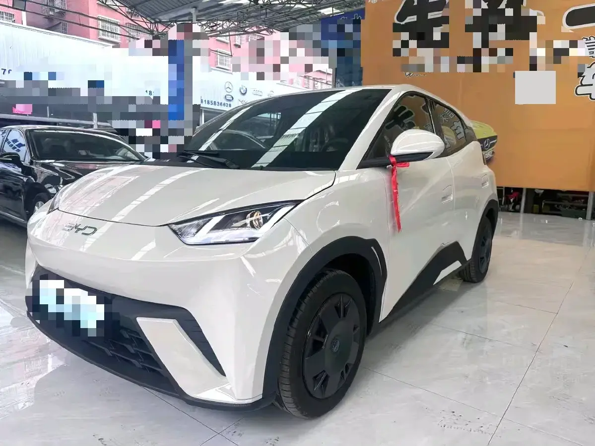 2025 BYD Seagull BEV 30.08KWH