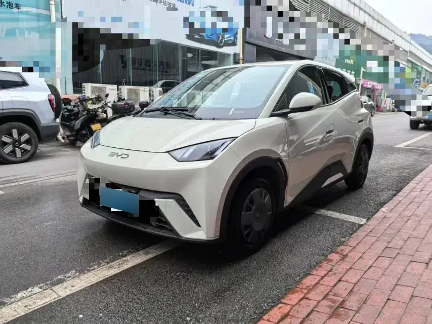 2024 BYD Seagull BEV 30.08KWH