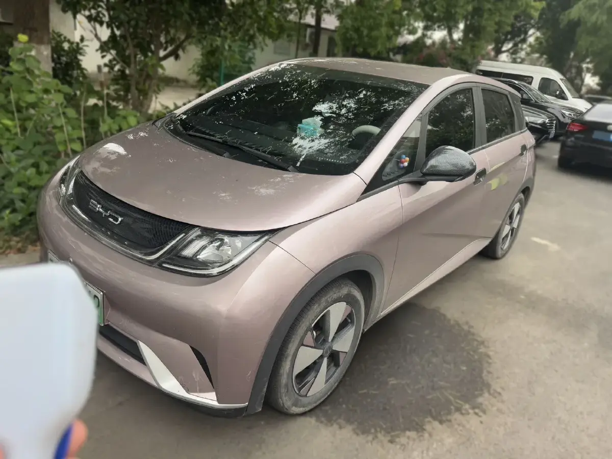 2023 BYD Dolphin BEV 44.928KWH