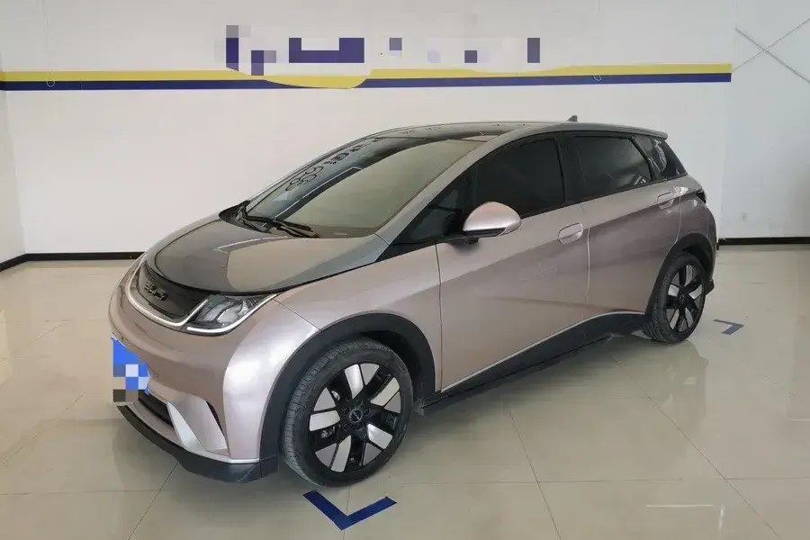 2021 BYD Dolphin BEV 44.9KWH