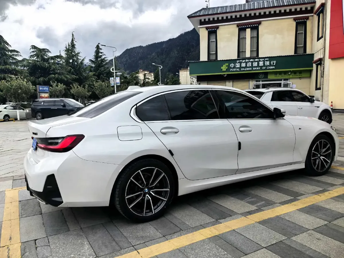 2023 BMW 3 Series 2.0T 156HP L4 8AT,autocango,china used car exporter,china ev exporter,chinese used car exporter,chinese used ev exporter