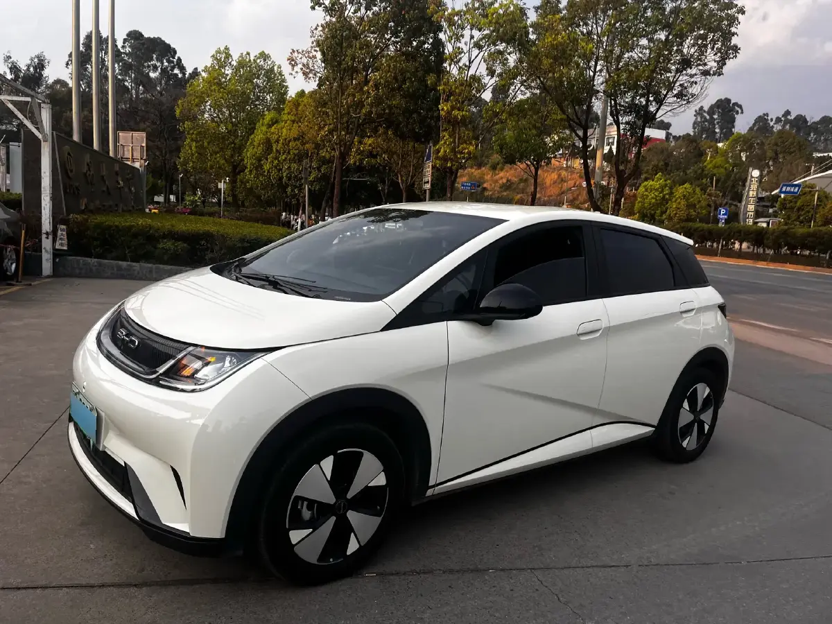 2023 BYD Dolphin BEV 44.928KWH