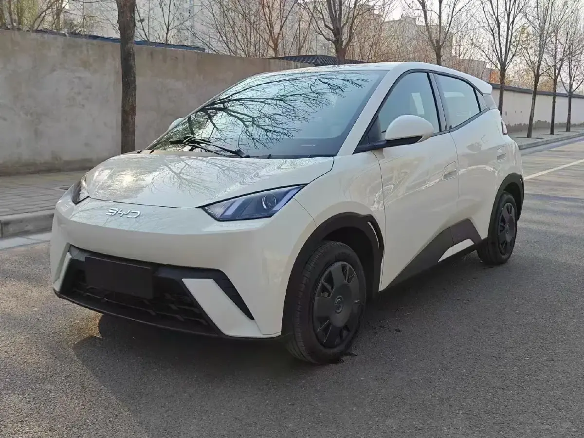2025 BYD Seagull BEV 30.08KWH